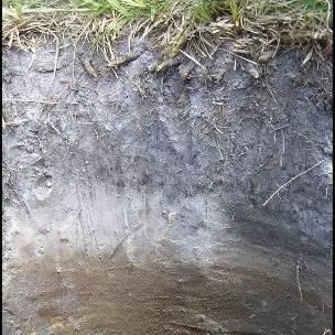 thumbnail for publication: Carbon Sequestration in Grazing Land Ecosystems